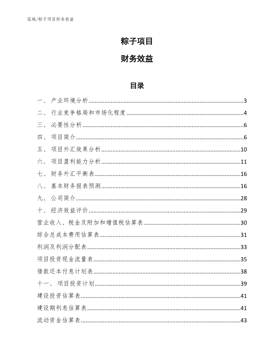粽子项目财务效益（范文）_第1页