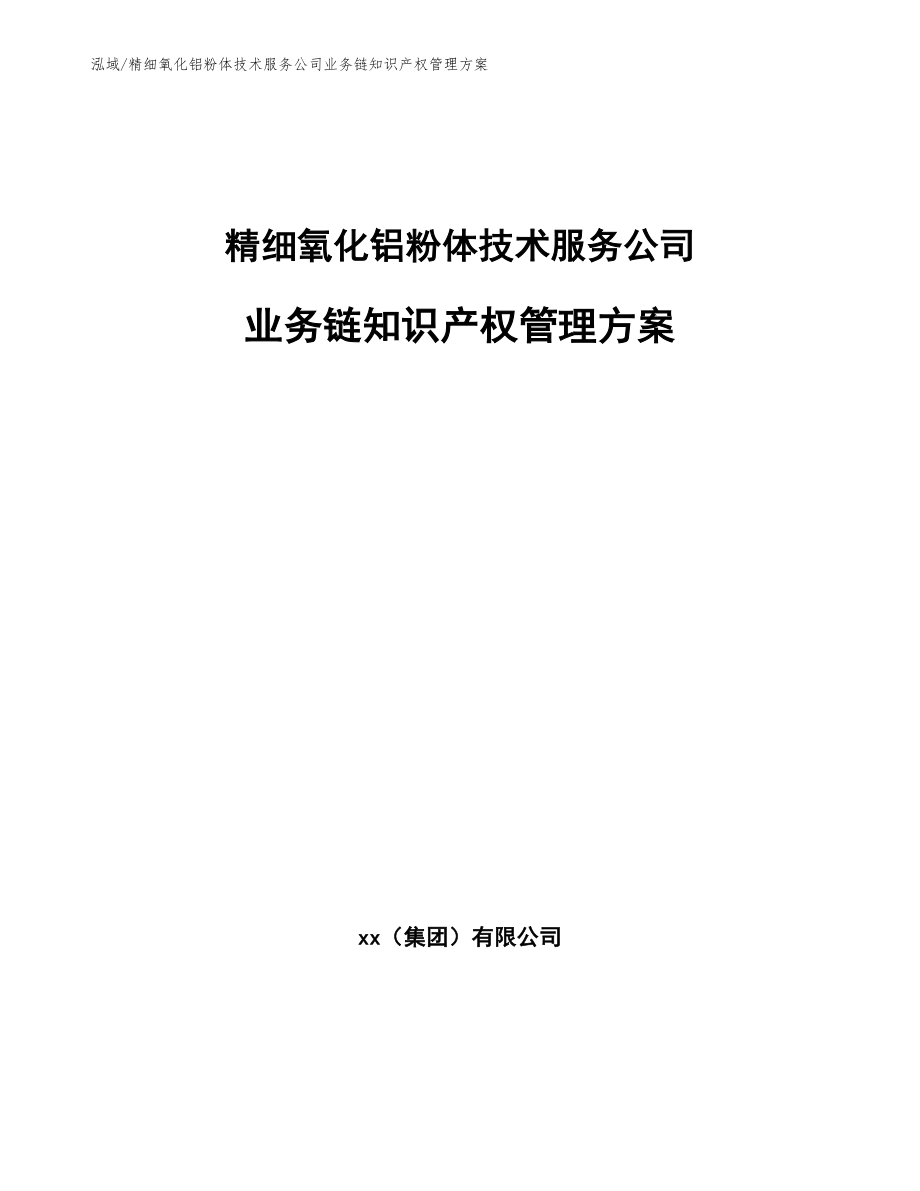 精细氧化铝粉体技术服务公司业务链知识产权管理方案_参考_第1页