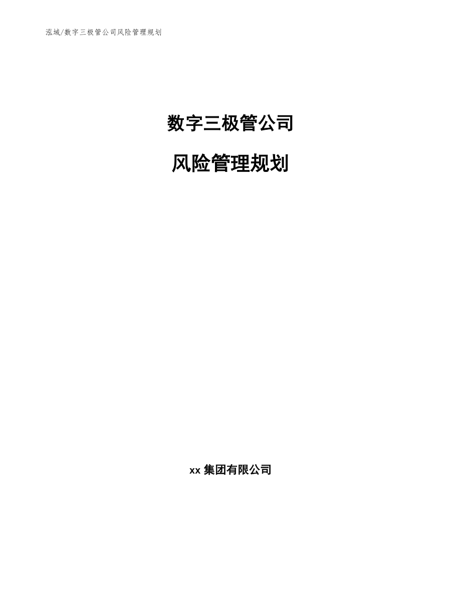 数字三极管公司风险管理规划_范文_第1页