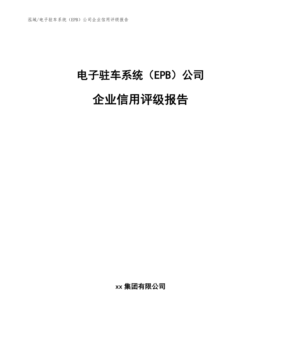 电子驻车系统（EPB）公司企业信用评级报告_第1页