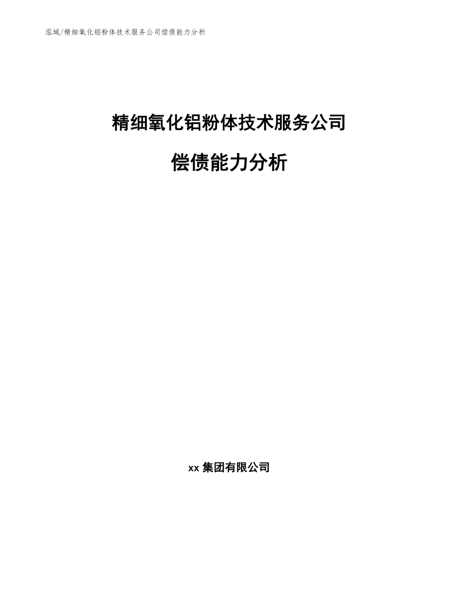 精细氧化铝粉体技术服务公司偿债能力分析【范文】_第1页