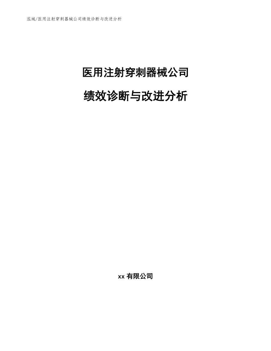 医用注射穿刺器械公司绩效诊断与改进分析_范文_第1页