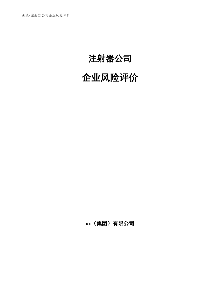 注射器公司企业风险评价_第1页