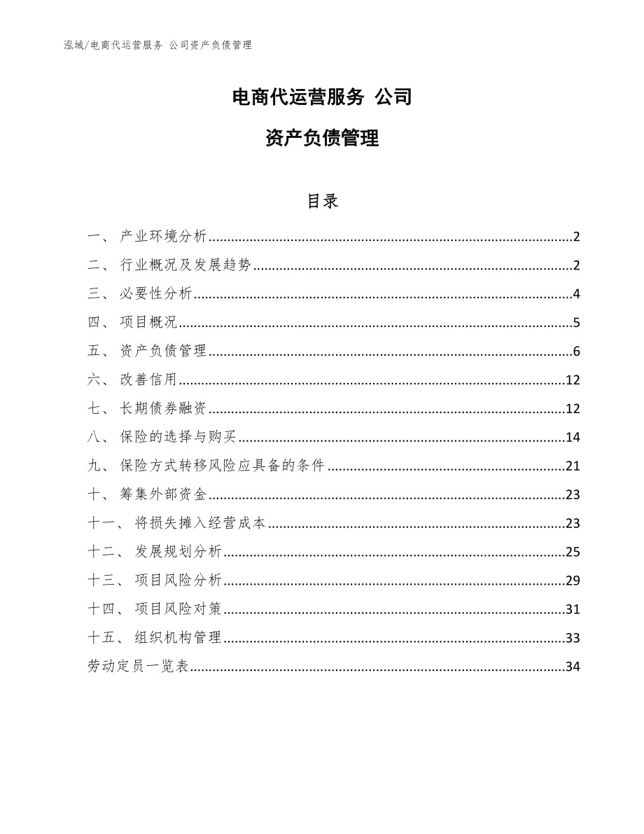 电商代运营服务 公司资产负债管理_参考_第1页