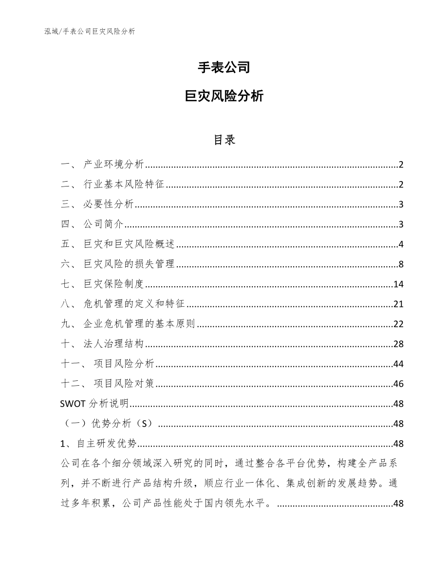 手表公司巨灾风险分析【范文】_第1页