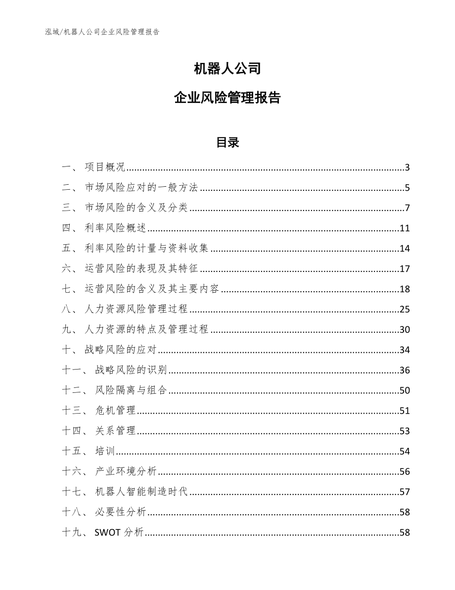 机器人公司企业风险管理报告_第1页