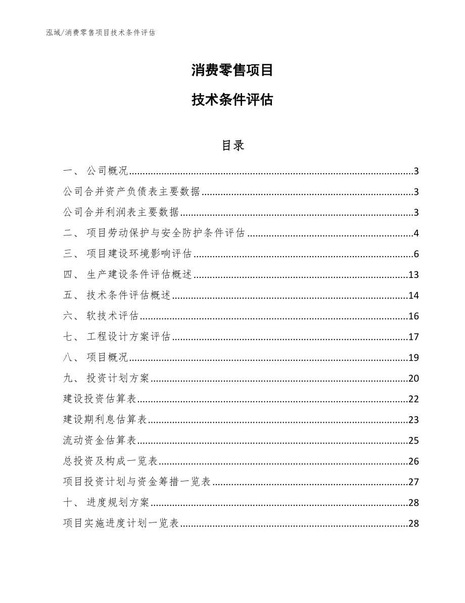 消费零售项目技术条件评估（参考）_第1页
