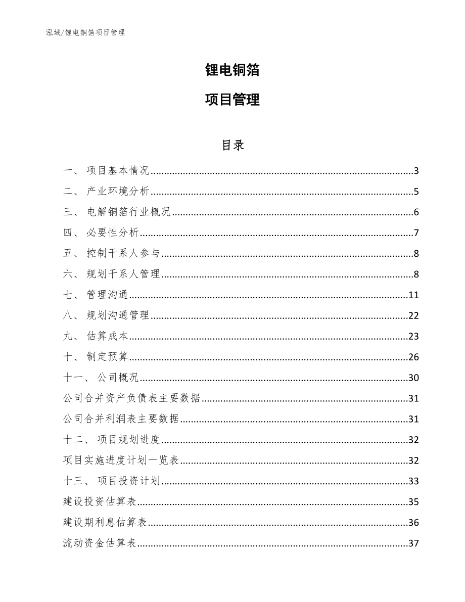 锂电铜箔项目管理_第1页