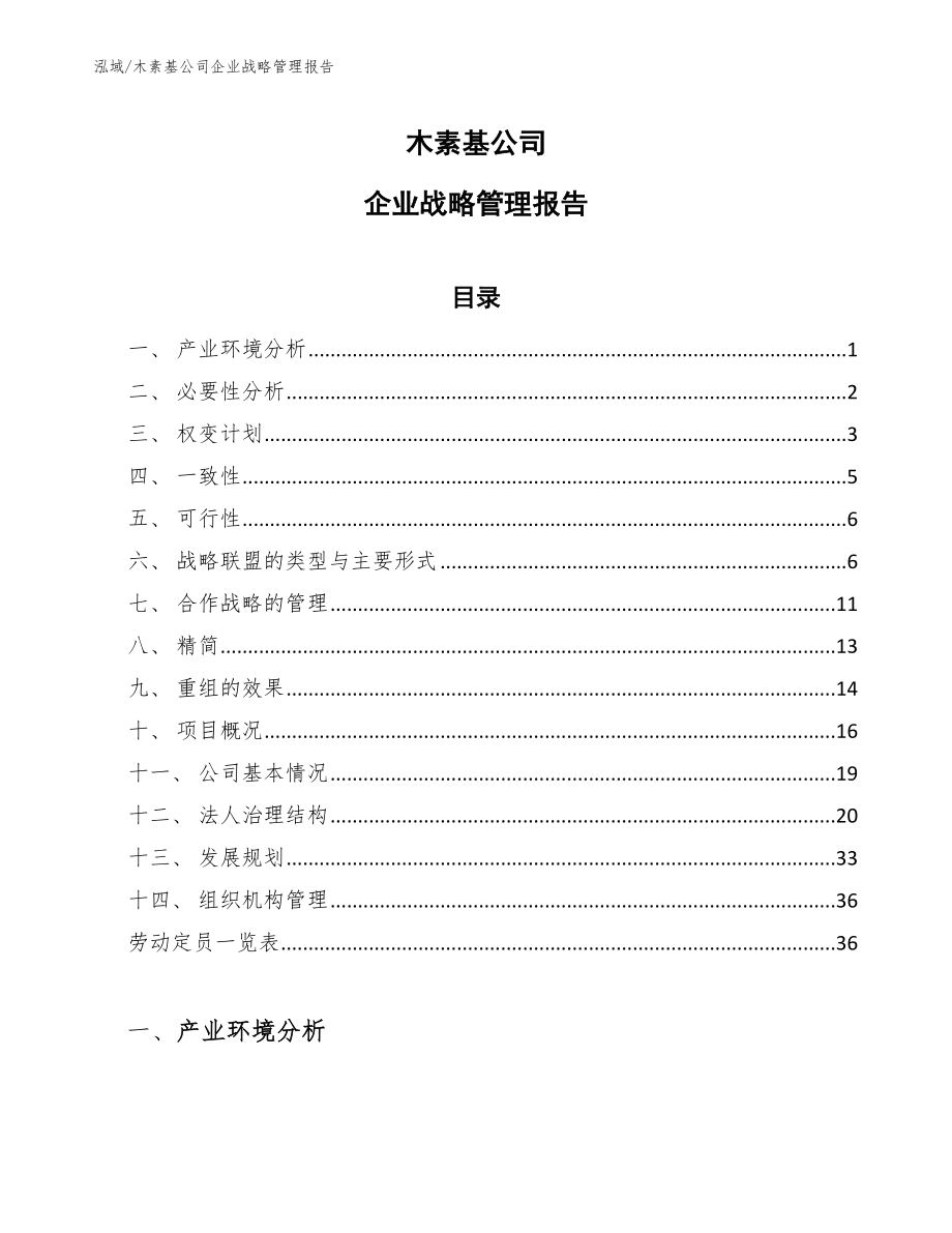 木素基公司企业战略管理报告_第1页