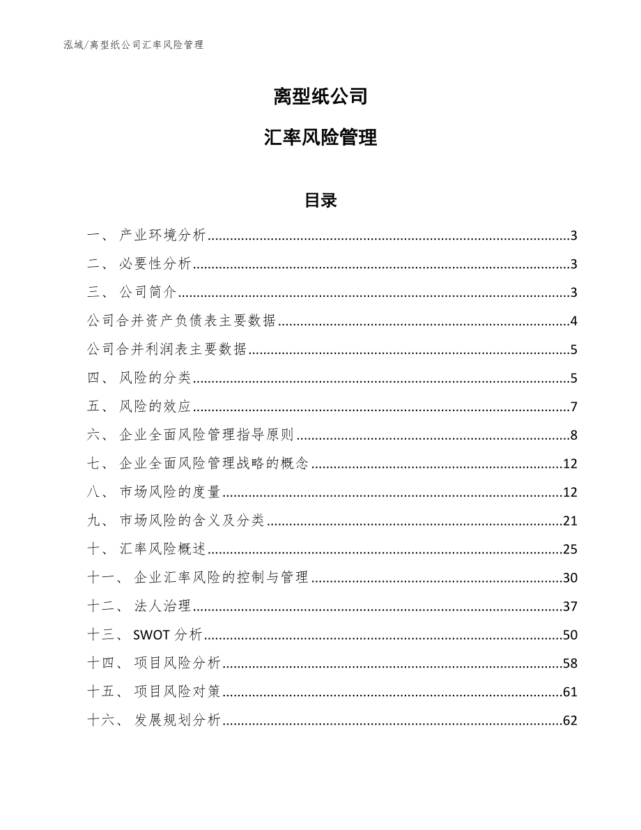 离型纸公司汇率风险管理【参考】_第1页