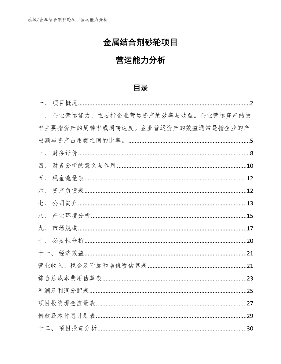 金属结合剂砂轮项目营运能力分析（参考）_第1页
