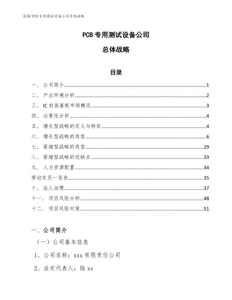 PCB专用测试设备公司总体战略（参考）_第1页