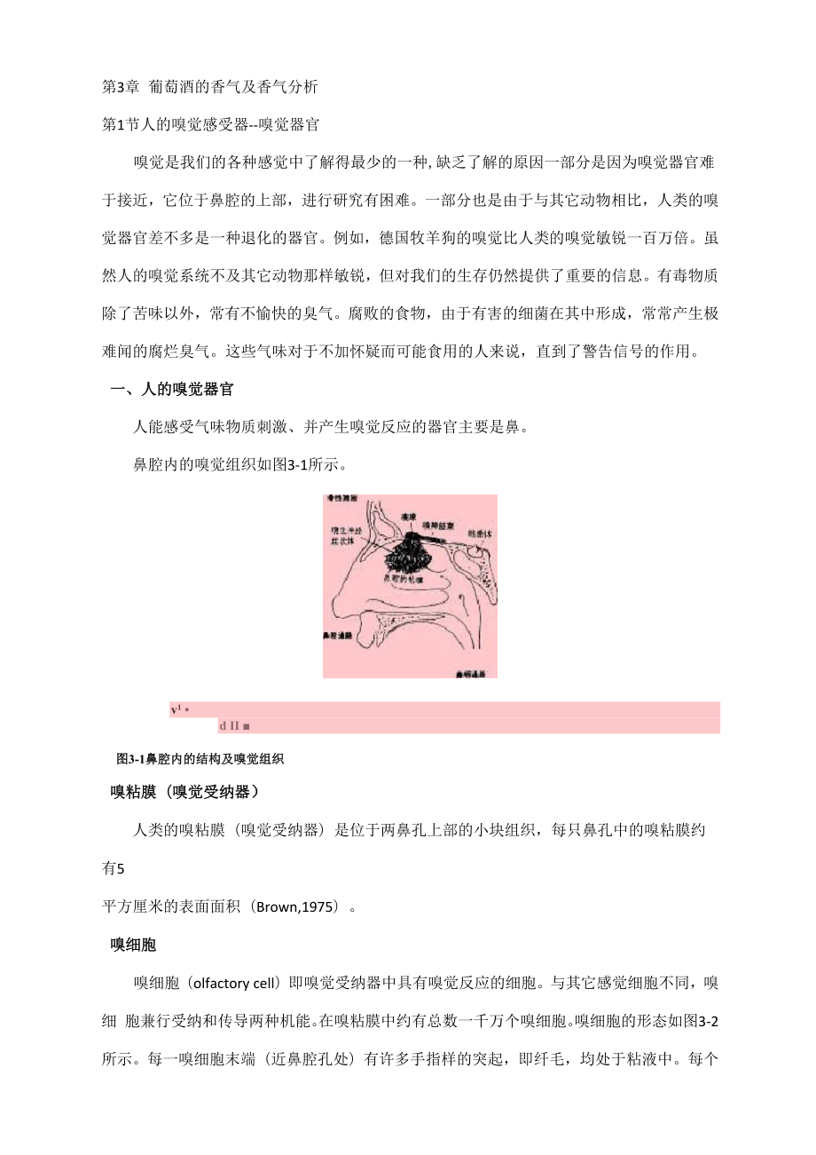 第3章葡萄酒的香气及香气分析_第1页