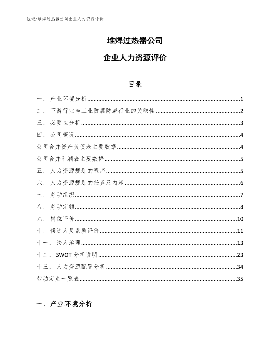 堆焊过热器公司企业人力资源评价_第1页