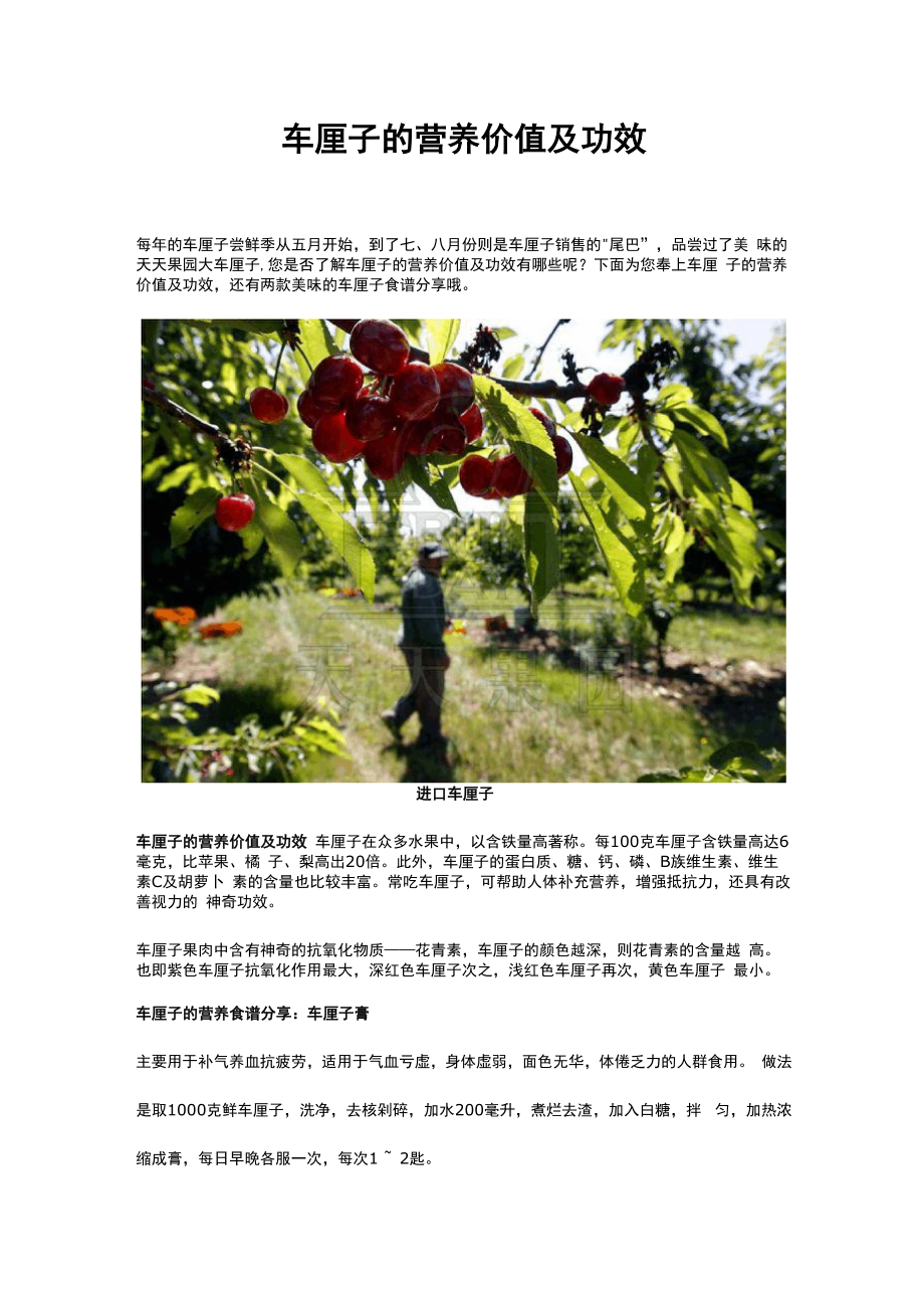 车厘子的营养价值及功效_第1页