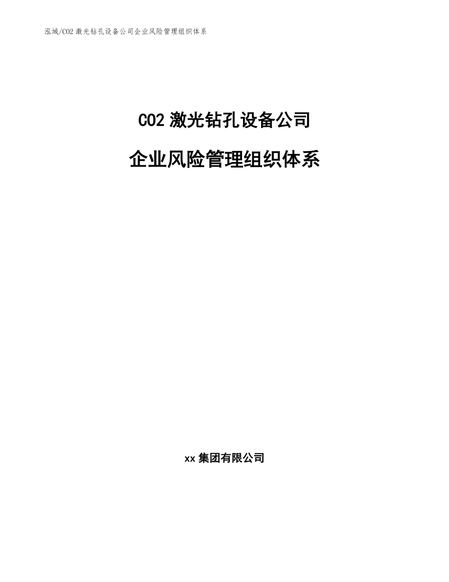 CO2激光钻孔设备公司企业风险管理组织体系_第1页