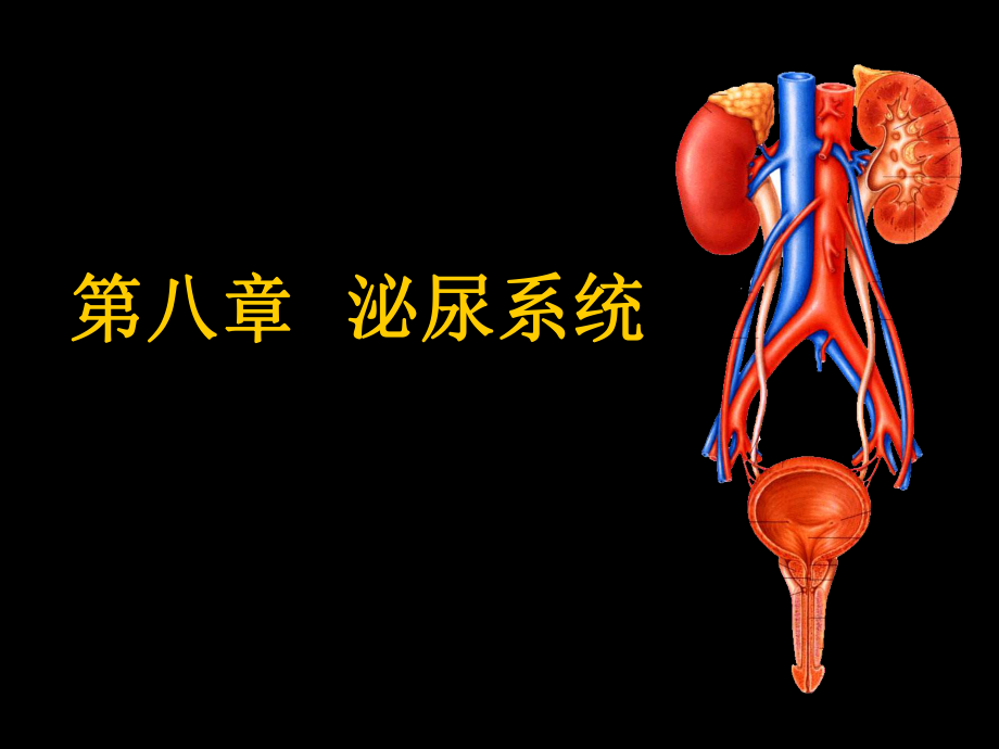 现代基础医学概论第八章_第1页