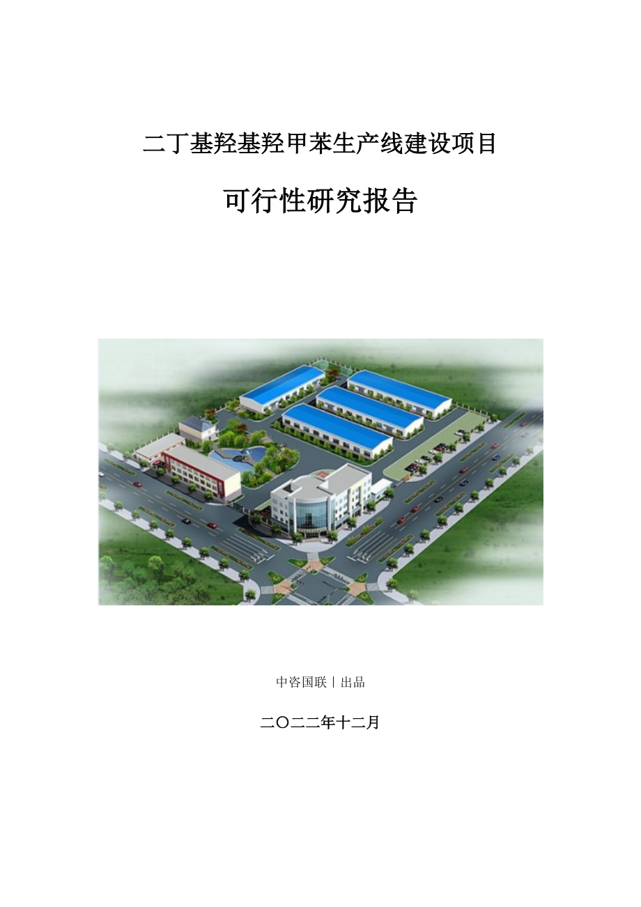 二丁基羟基羟甲苯生产建设项目可行性研究报告_第1页