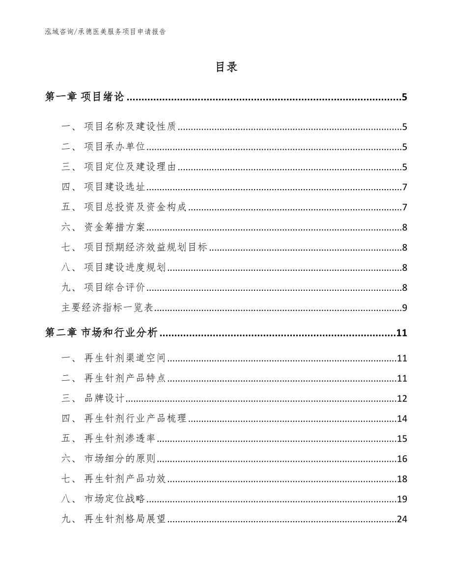 承德医美服务项目申请报告（范文模板）_第1页