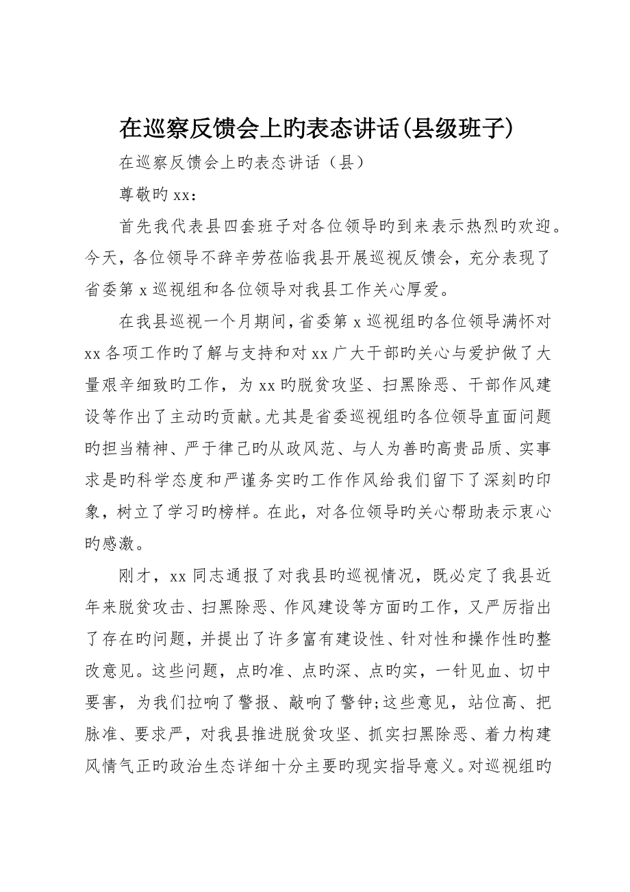 在巡察反馈会上的表态讲话(县级班子)_第1页