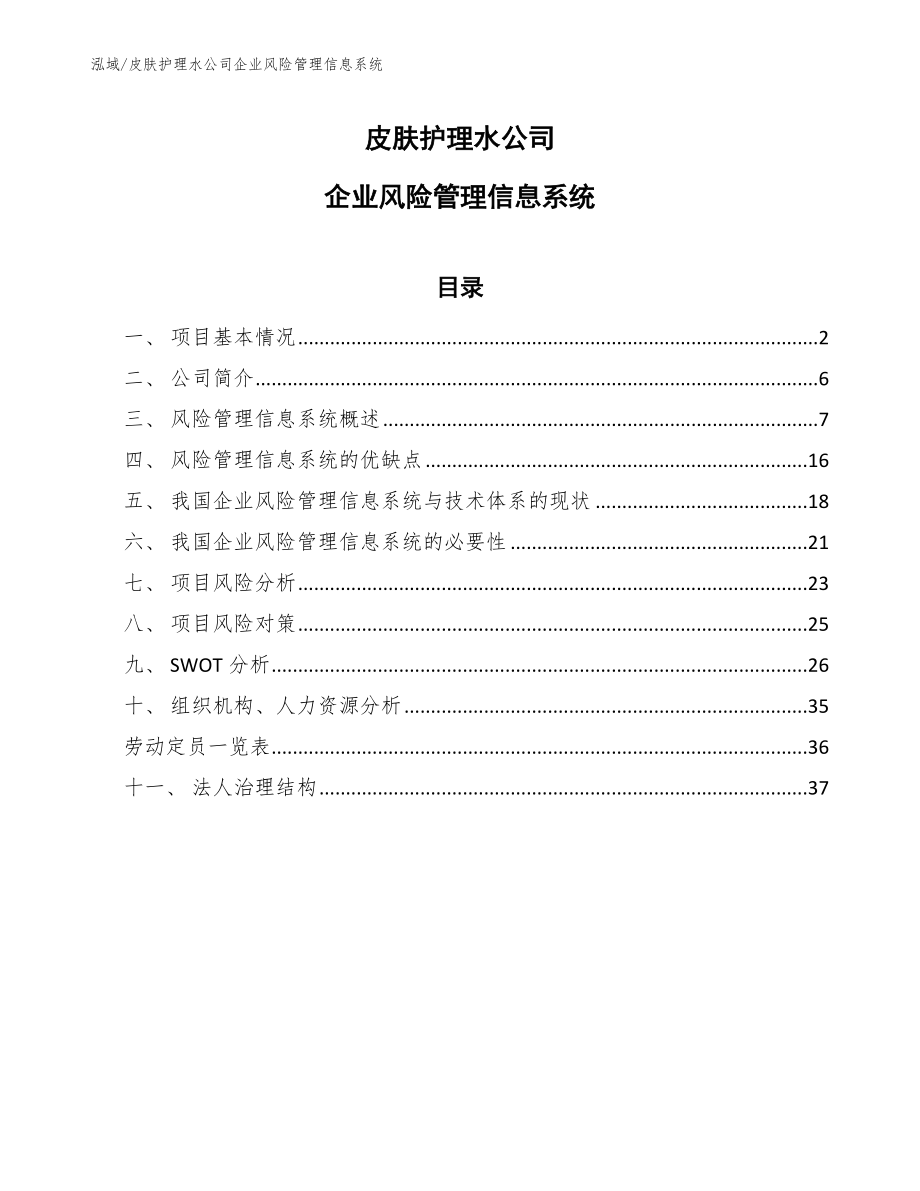 皮肤护理水公司企业风险管理信息系统（参考）_第1页