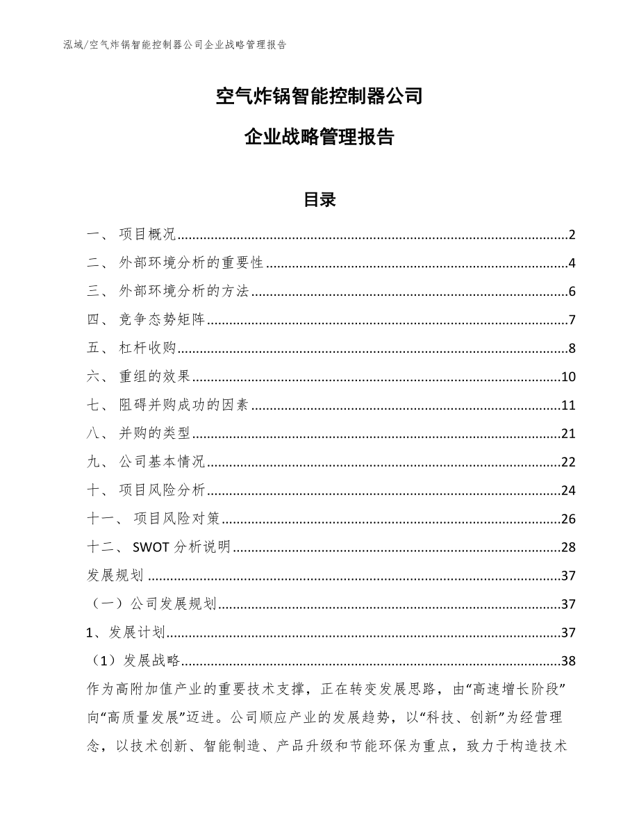 空气炸锅智能控制器公司企业战略管理报告（参考）_第1页