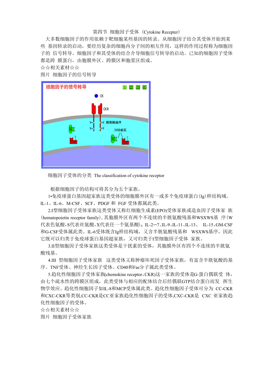 细胞因子4 第四节 细胞因子受体_第1页
