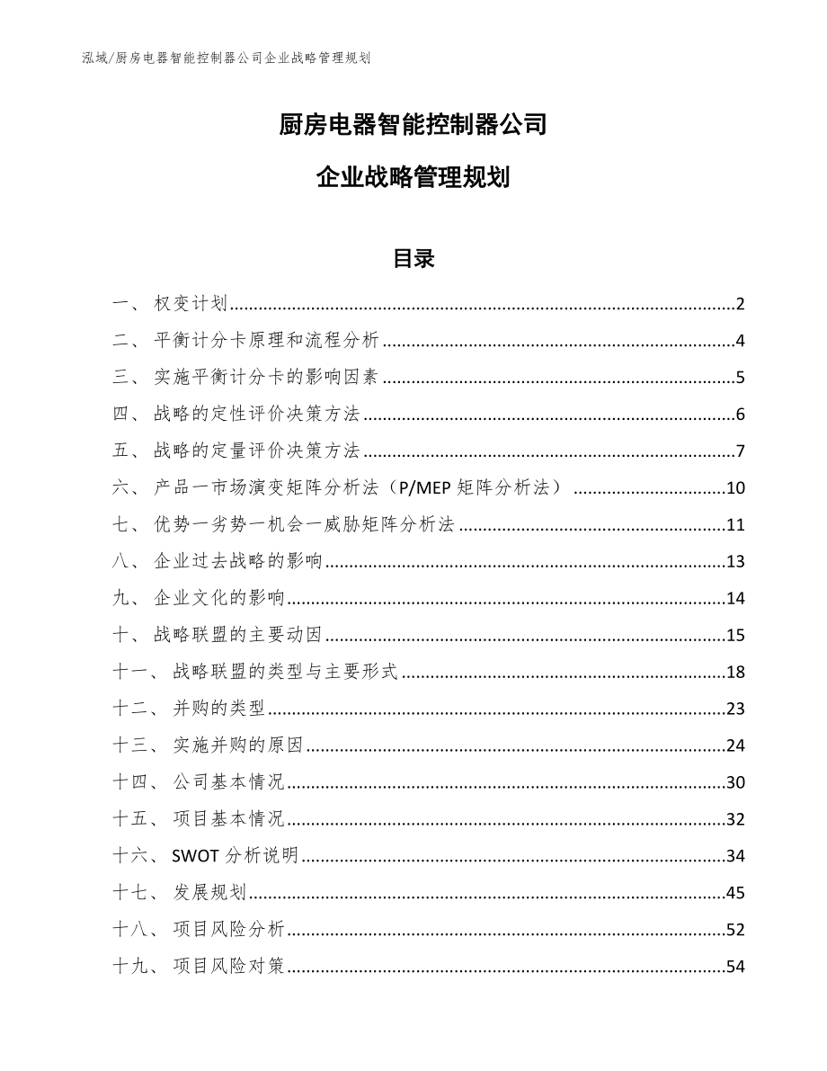 厨房电器智能控制器公司企业战略管理规划（范文）_第1页