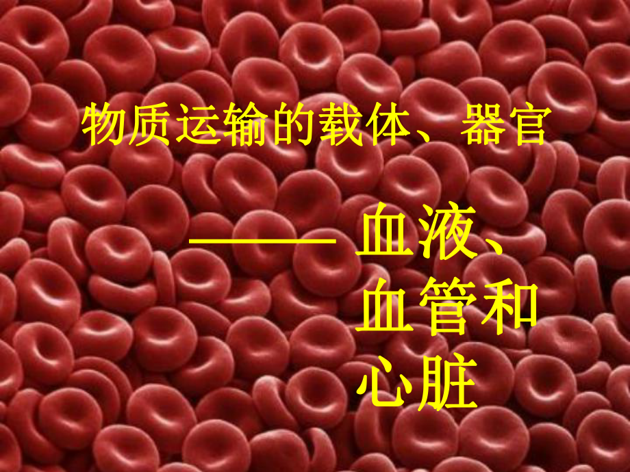 物质运输的载体血液_第1页
