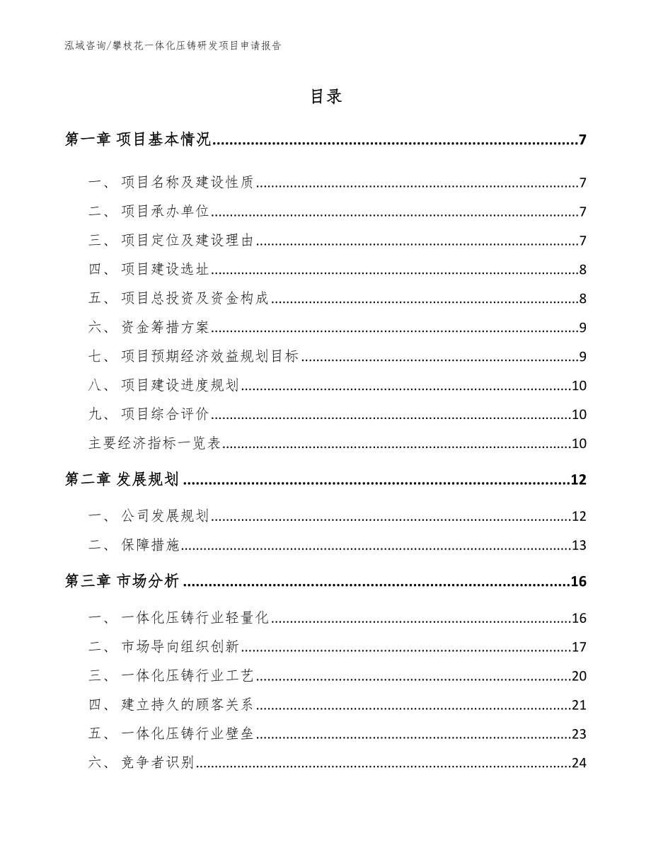 攀枝花一体化压铸研发项目申请报告（模板范文）_第1页