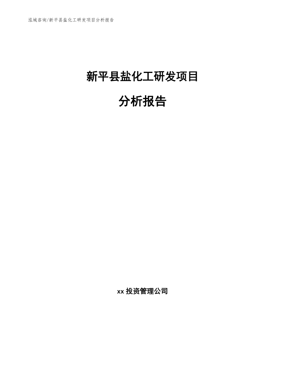 新平县盐化工研发项目分析报告【范文】_第1页