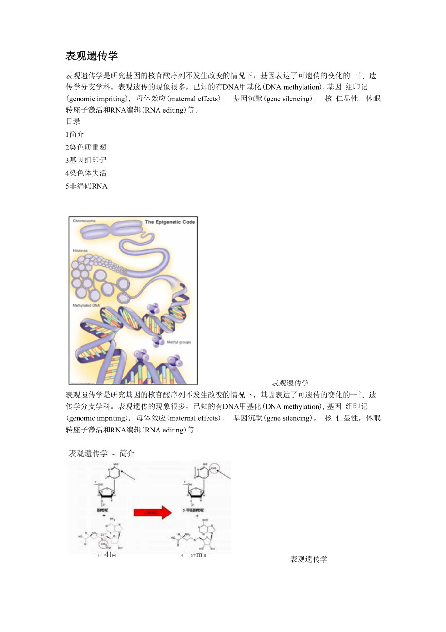 表观遗传学_第1页