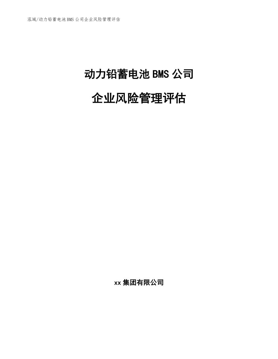 动力铅蓄电池BMS公司企业风险管理评估_参考_第1页