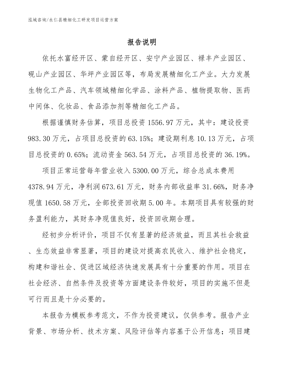 永仁县精细化工研发项目运营方案_第1页