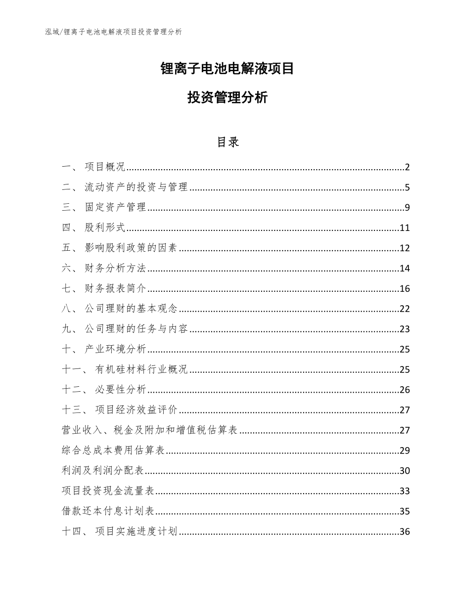 锂离子电池电解液项目投资管理分析_第1页