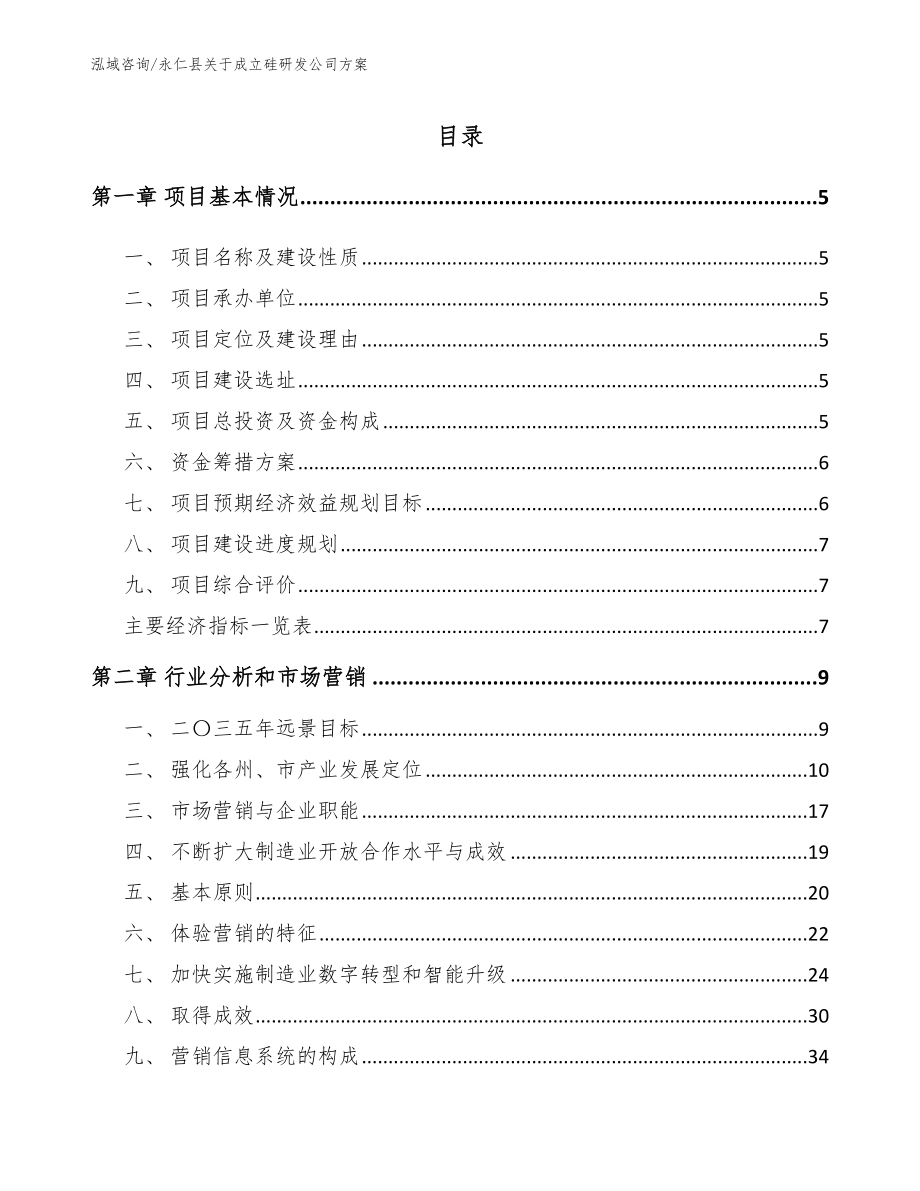 永仁县关于成立硅研发公司方案_第1页