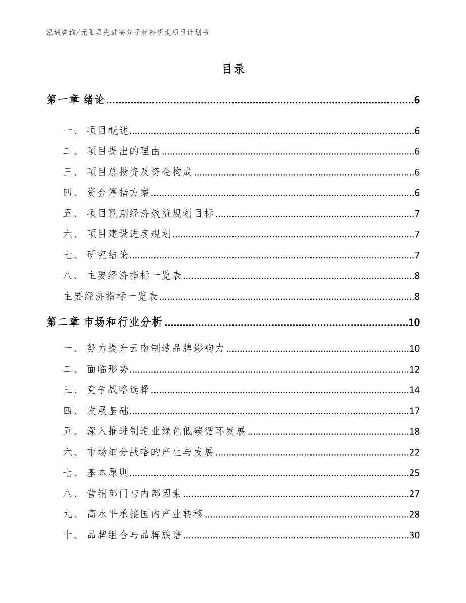元阳县先进高分子材料研发项目计划书（范文）_第1页