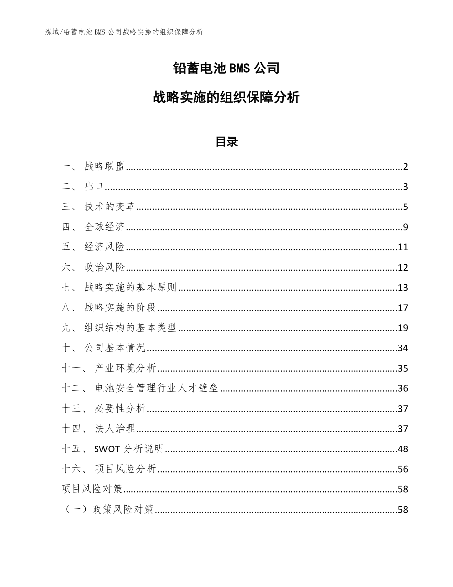 铅蓄电池BMS公司战略实施的组织保障分析（范文）_第1页