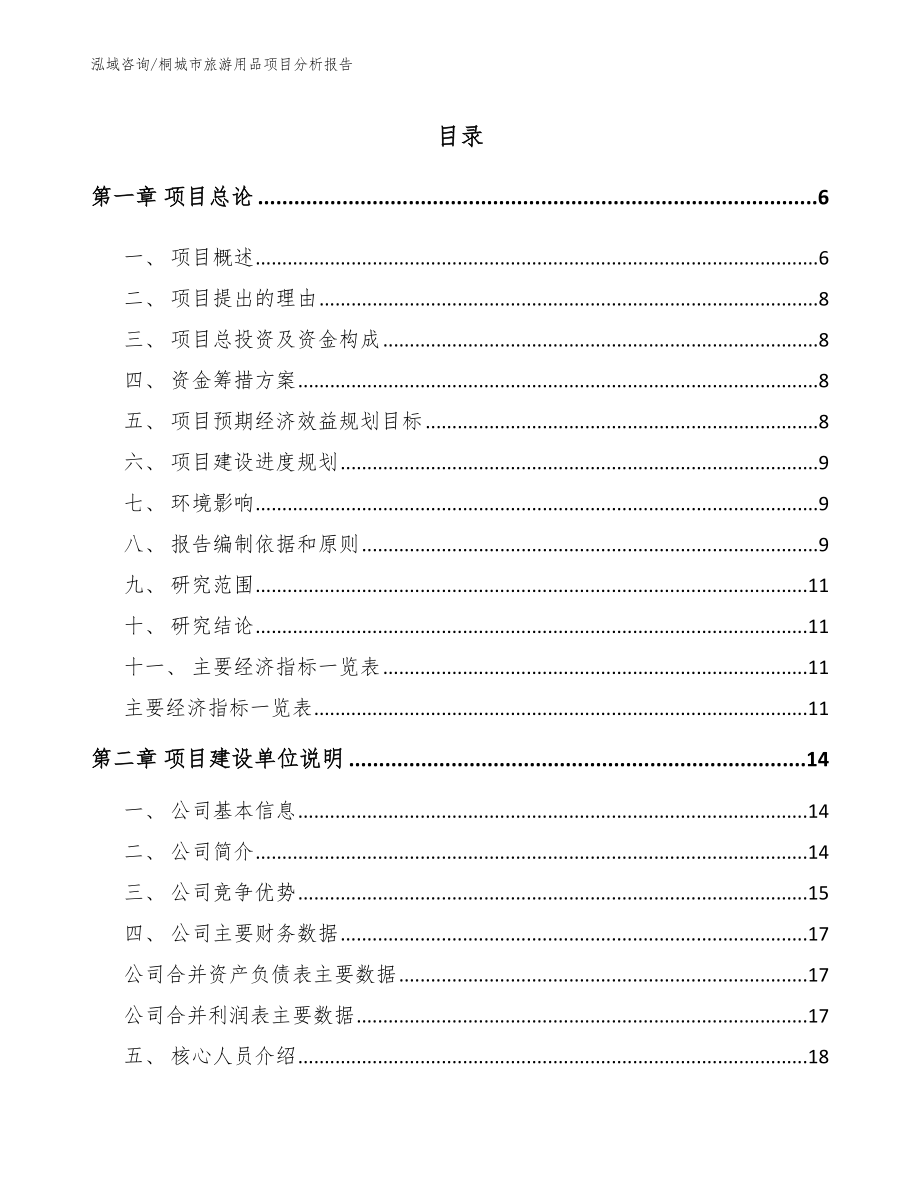 桐城市旅游用品项目分析报告【范文参考】_第1页