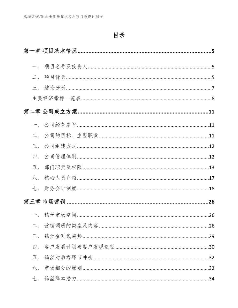 丽水金刚线技术应用项目投资计划书【模板参考】_第1页