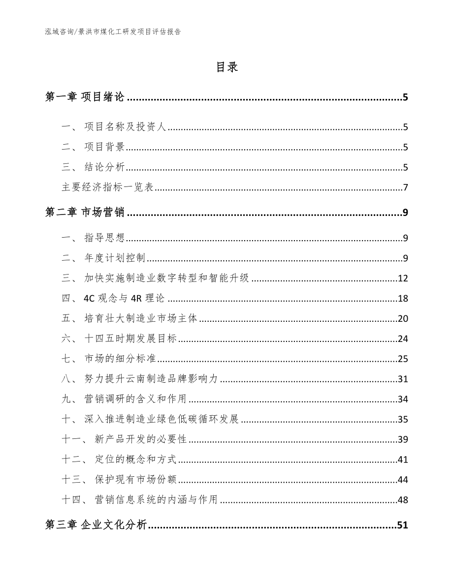 景洪市煤化工研发项目评估报告_第1页