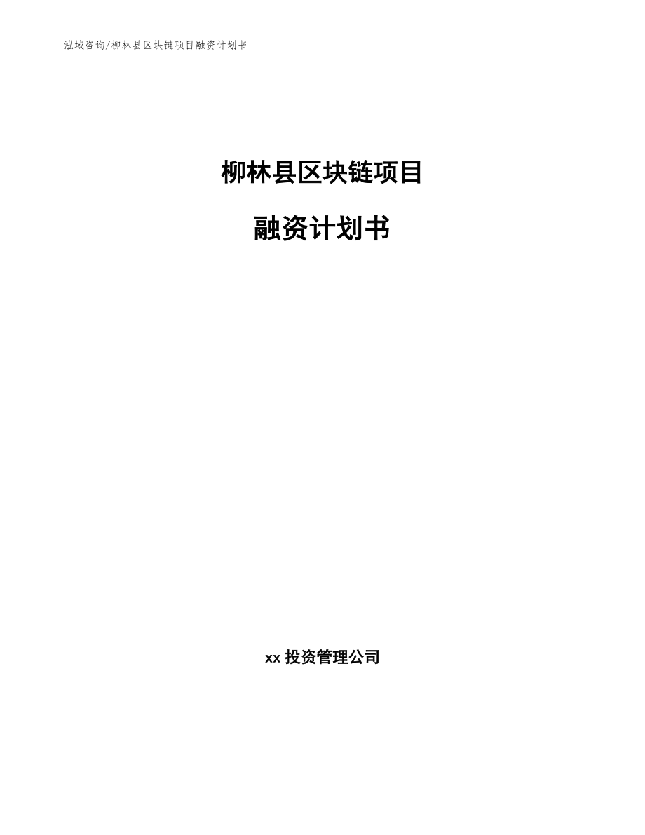 柳林县区块链项目融资计划书_第1页