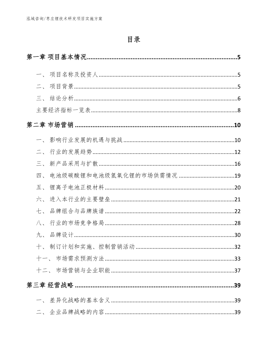 枣庄锂技术研发项目实施方案_第1页