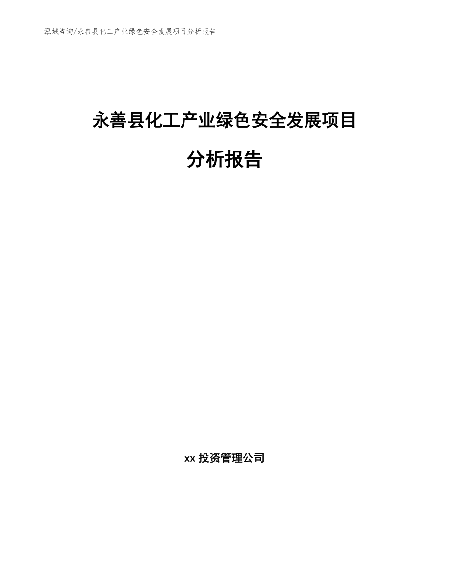 永善县化工产业绿色安全发展项目分析报告_模板_第1页