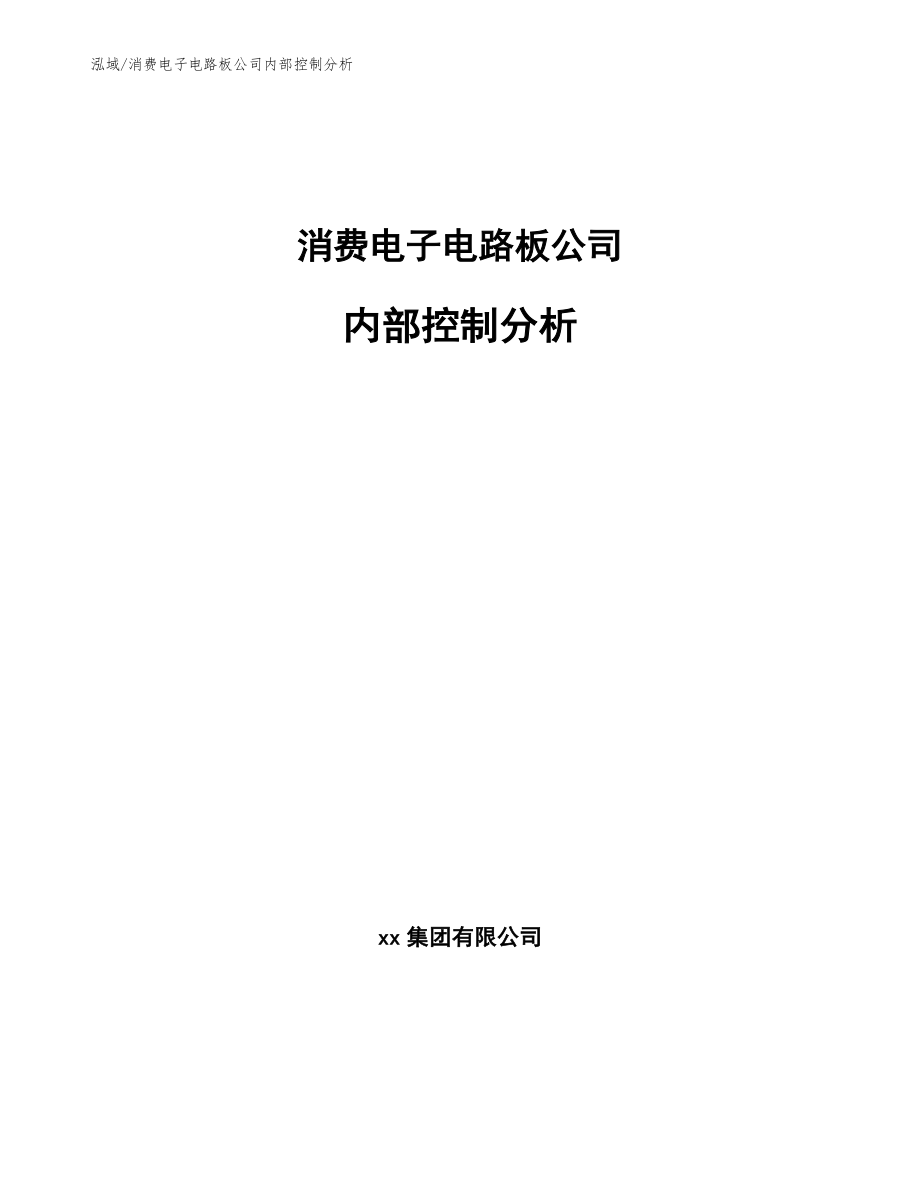 消费电子电路板公司内部控制分析_范文_第1页
