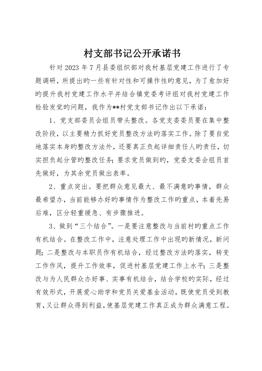 村支部书记公开承诺书_第1页