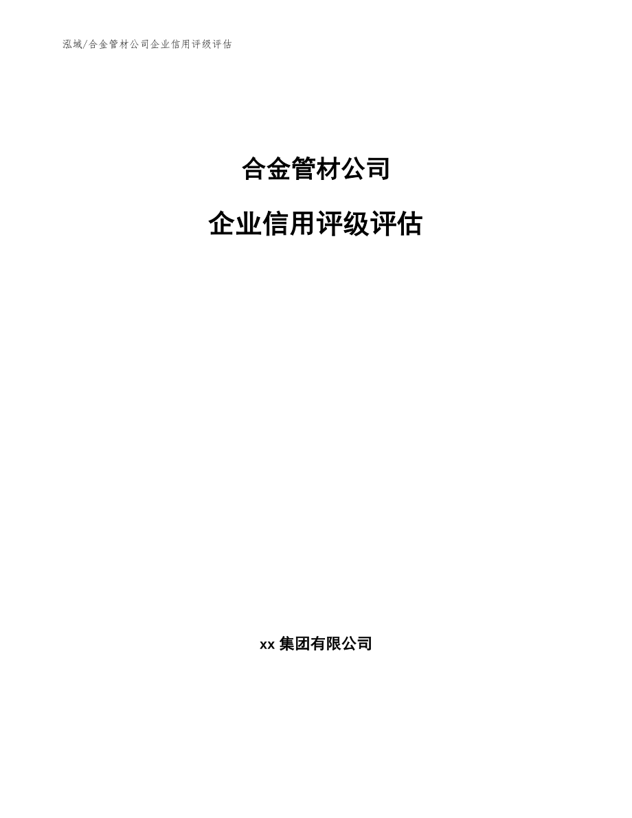 合金管材公司企业信用评级评估（范文）_第1页