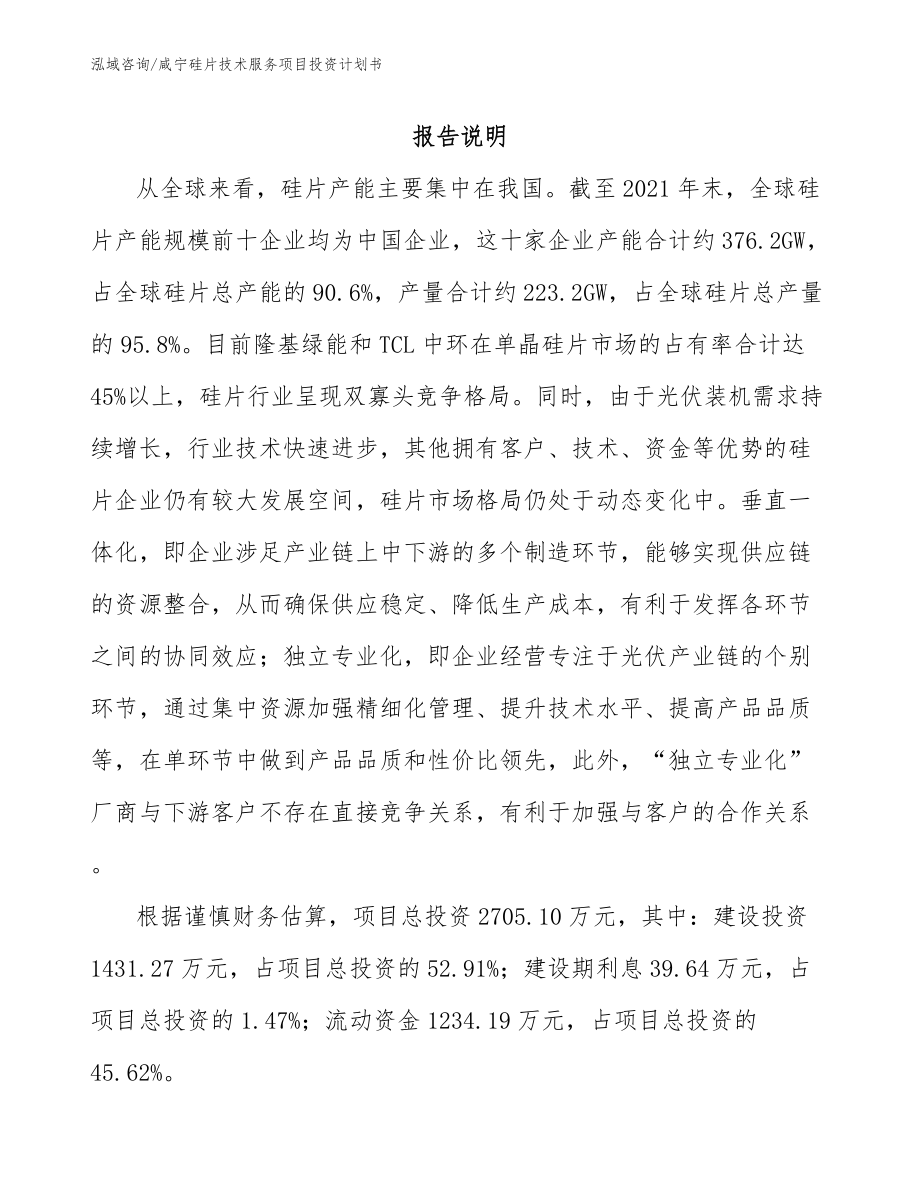 咸宁硅片技术服务项目投资计划书_第1页