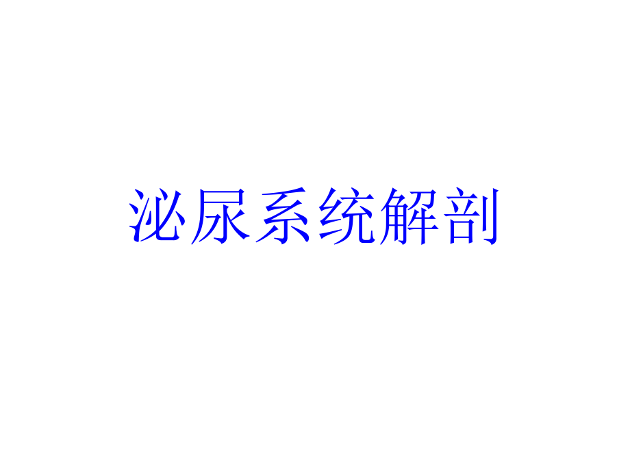 泌尿系统解剖_第1页