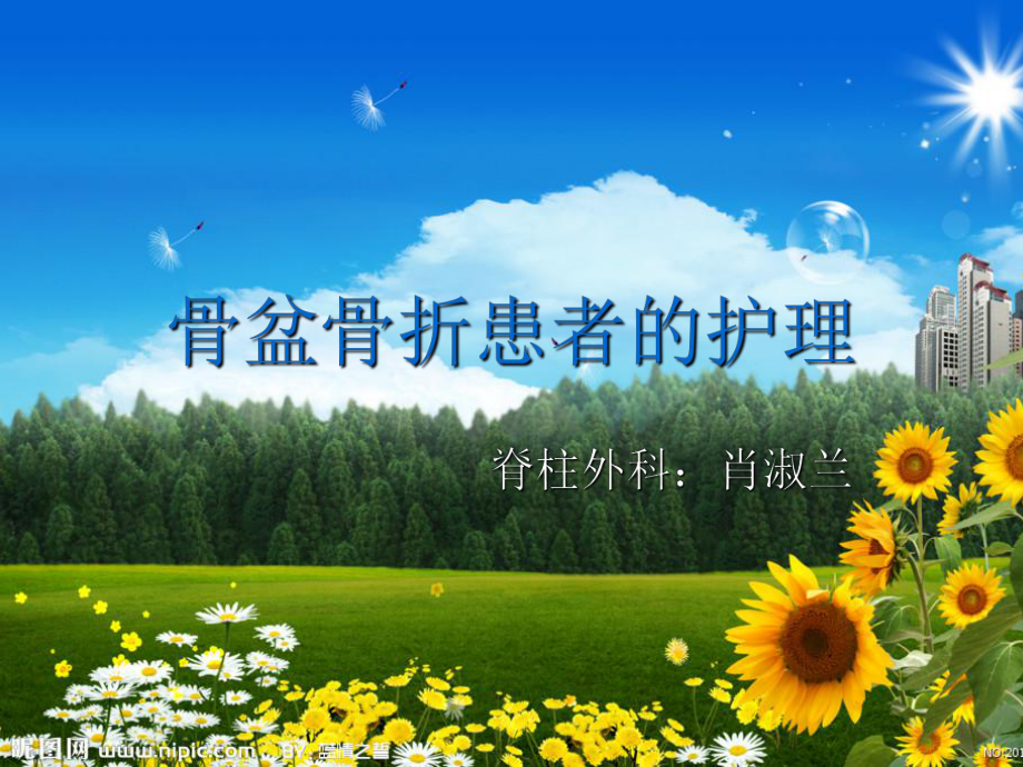骨盆骨折患者的护理课件_第1页